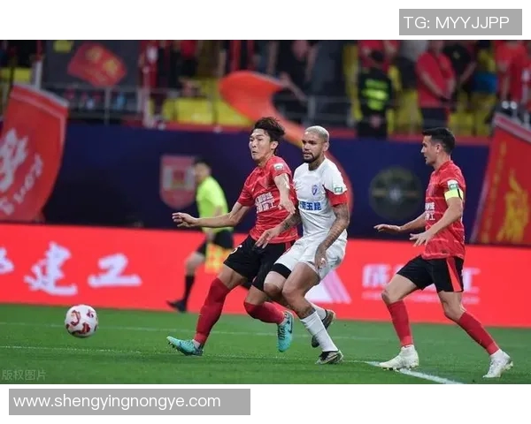 足球星料官深度揭秘赛场内外故事全景展现球员真实风采