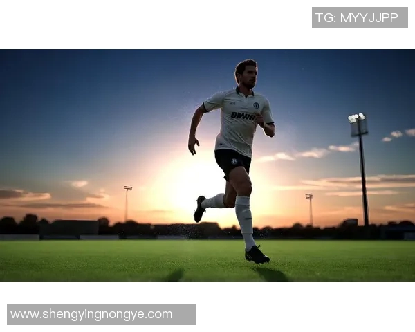 2008年世界足球巨星风采回顾与绿茵场巅峰瞬间