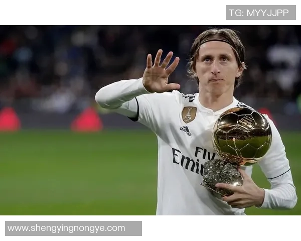 法国球星视角下对世界足球运动员的精彩评价与独到见解